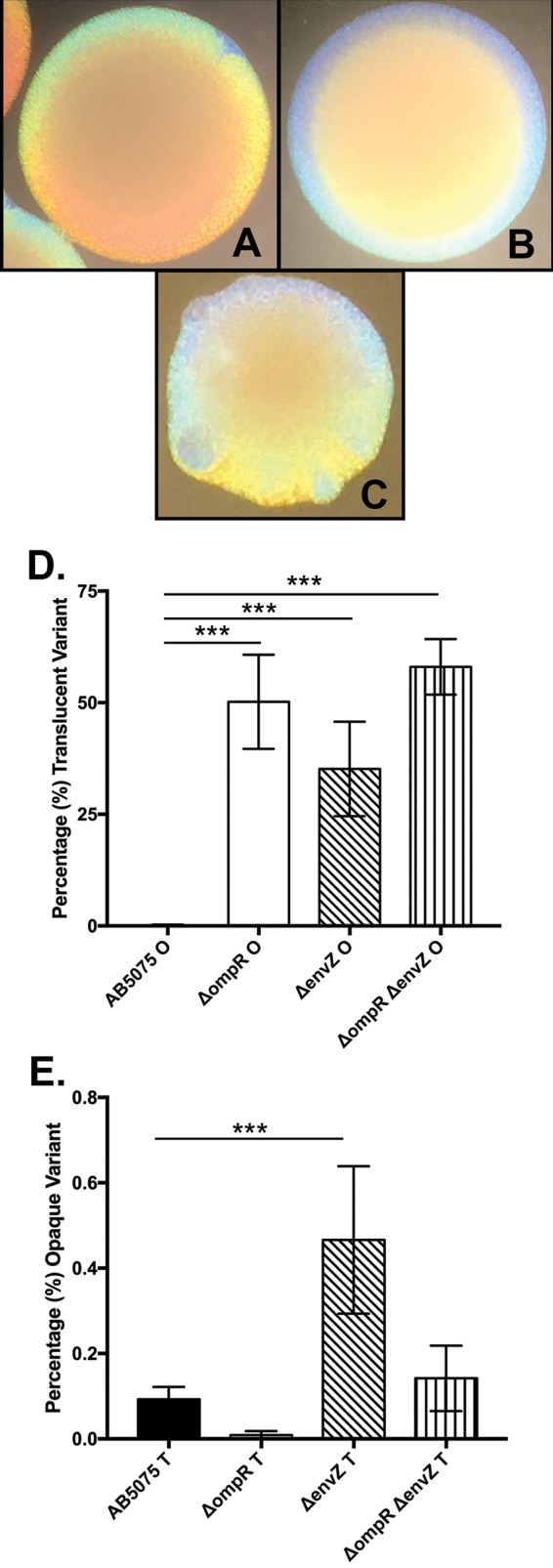 FIG 1