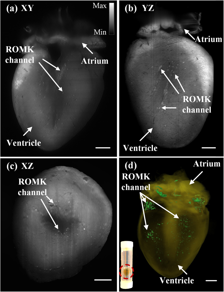 Figure 6