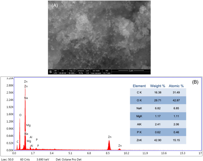 FIGURE 3