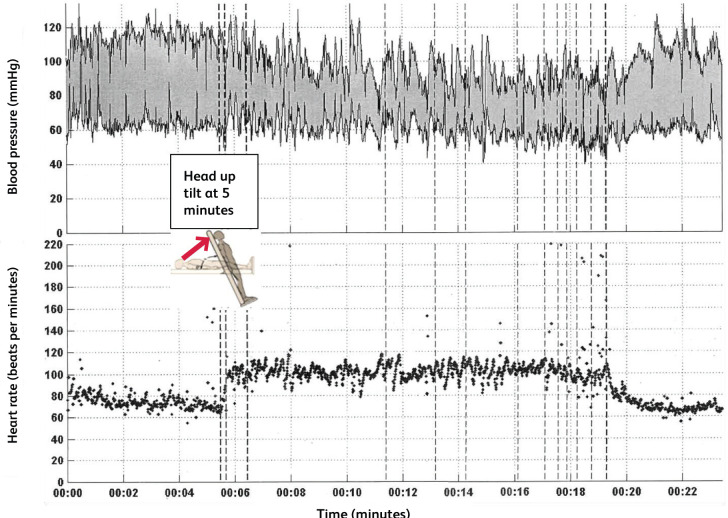 Fig 1.