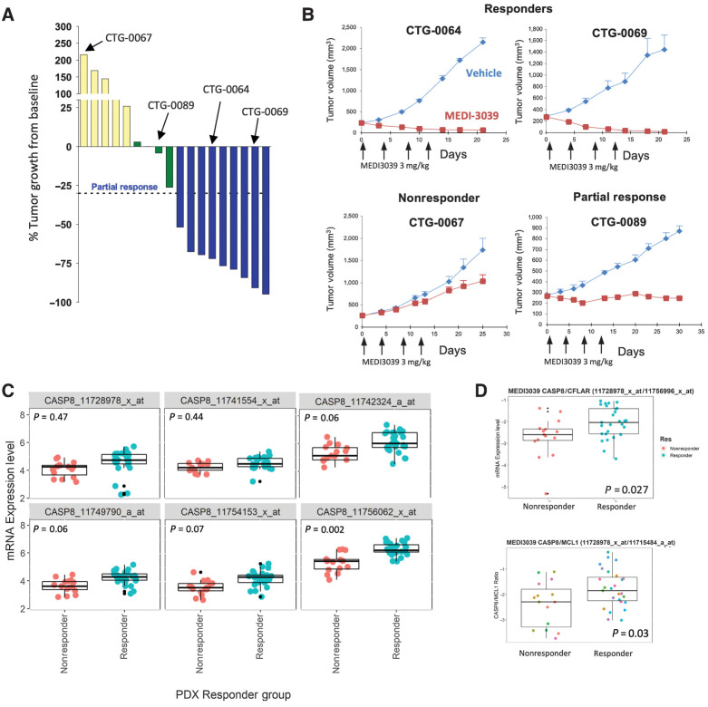 Figure 4. In vivo expression of CASP8 and CFLAR (FLIP) modulate response to MEDI3039 in PDX models. A, Change in percent tumor growth from baseline was measured at day 18 in 18 CRC PDX models treated with a fixed dose of MEDI3039. B, Tumor plots of responder, nonresponder, and partial response models. x-axis, days; y-axis, tumor volume. Arrows indicate treatment with MEDI3039. Red line, MEDI039-treated mice; blue line, untreated mice. C, Tumor CASP8 mRNA expression in PDX nonresponders (red) and responders (blue) with MEDI3039 (each circle represents a tumor from a single mouse). D, Comparison of CASP8:CFLAR ratio in MEDI3039 responder (blue) and nonresponder (red) PDX models.