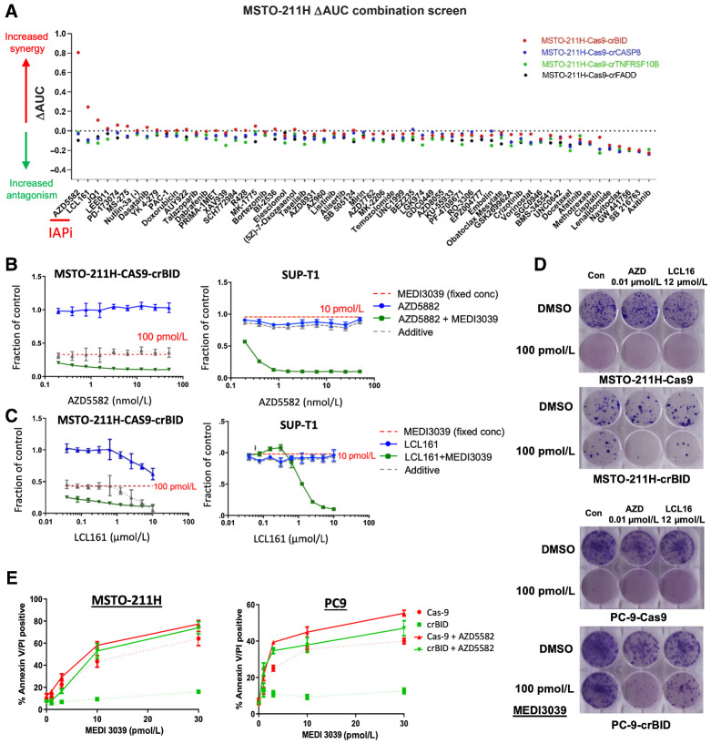 Figure 5. Drug combinations to overcome rTRAIL resistance in isogenic cell lines. A, Isogenic MSTO-211H cell lines were screened against 59 compounds in combination with a fixed dose of MEDI3039 (100 pmol/L). Viability was measured at day 6. For each combination, a ΔAUC was calculated by subtracting the observed from the expected AUC (based upon the activity of the MEDI3039 concentration as a single agent). Values >0.2 are indicative of synergy. x-axis: name of compounds screened. Bid-KO MSTO-211H or Bid-mutant Sup-T1 cells were treated with a concentration range of the IAP inhibitor AZD5582 (B) or LCL161 (C) for 6 days (blue line) or in combination with a fixed concentration of MEDI3039 (green, IC90 values of parental cell line). Indicated is the effect of the fixed concentration of MEDI3039 (red dotted) and the expected (additive) effect of the combination (gray dotted). x-axis: log10 scale concentration range. y-axis: relative viability effect. D, Clonogenic survival assays at day 14 in Cas9 versus crBID MSTO-211H and PC-9 cells treated with the indicated IAP inhibitors AZD and LCL161 as single agents or combined with MEDI3039. AZD, AZD5582. E, Annexin V/PI staining of Cas9 versus BID KO MSTO-211H and PC-9 cells following 24-hour treatment with MEDI3039 ±10 nmol/L AZD5582.