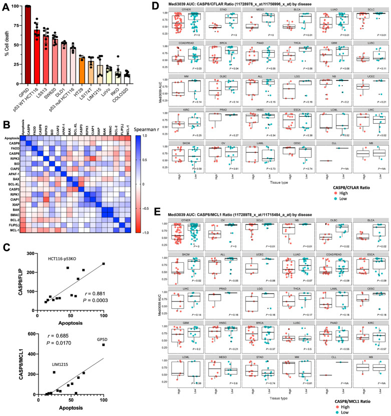 Figure 3. MEDI3039 sensitivity is significantly affected by FLIP(L)–caspase-8 ratio. A, Percentage cell death at 24 hours post MEDI3039 10 pmol/L in a panel of colorectal cell lines. B, Scatter plot of summary correlation analysis of cell death protein expression and percent cell death induced in response to MEDI3039 across panel of colorectal cancer cell lines. C, CASP8/FLIP or CASP8/MCL1 ratio protein expression versus MEDI3039-induced cell death. Each circle indicates a cell line. MEDI3039 AUC for cell lines for different cell types split according to discretized CASP8/FLIP (D) or CASP8/MCL1 (E) ratio (mRNA expression).