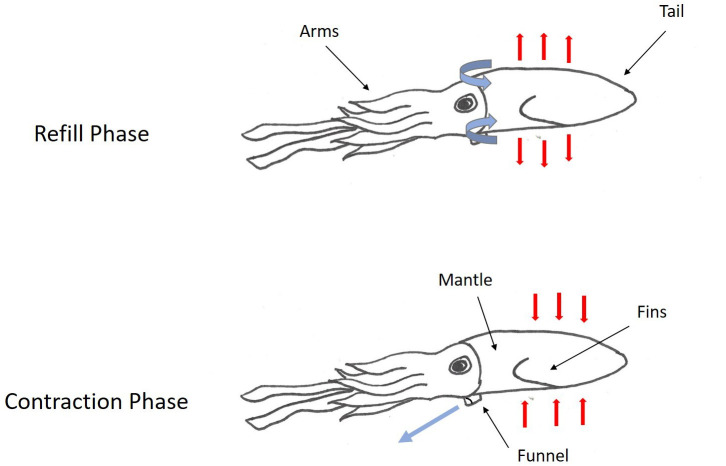 Fig. 2.