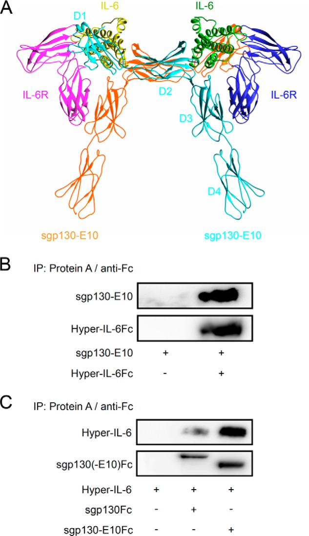 FIGURE 2.