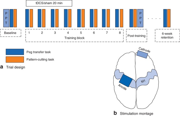 BJS5-43-FIG-0001-c