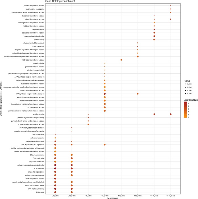 FIG 3