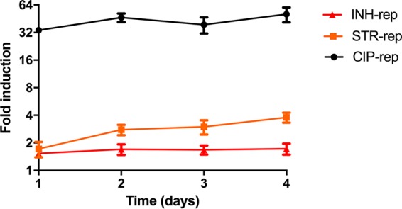 FIG 4