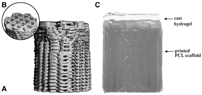 Fig. 5