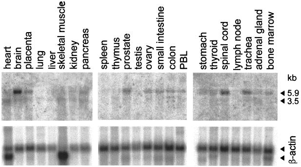 FIG. 11