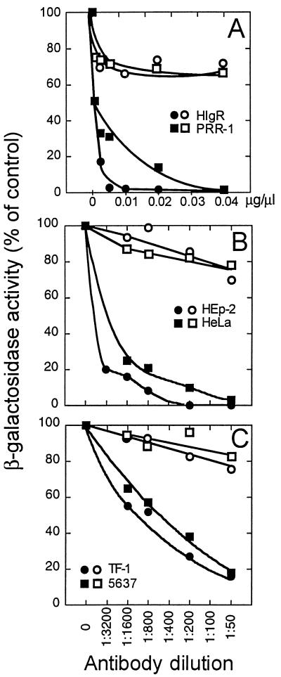 FIG. 10