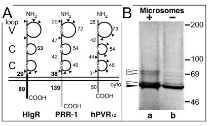 FIG. 3