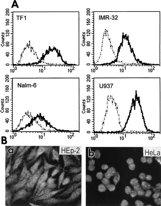 FIG. 9