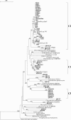 FIG. 2.