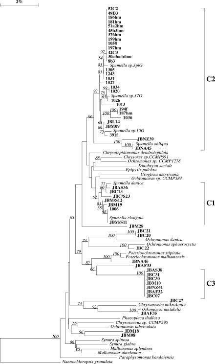 FIG. 2.