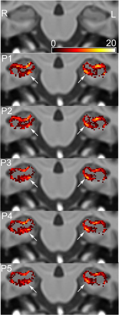 Figure 7