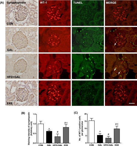 Fig. 4