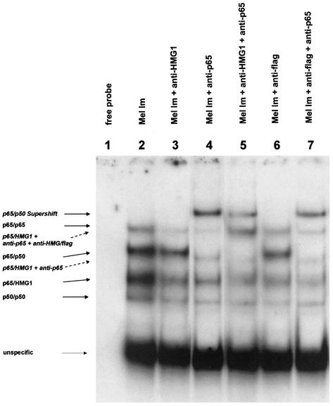 FIG. 7.