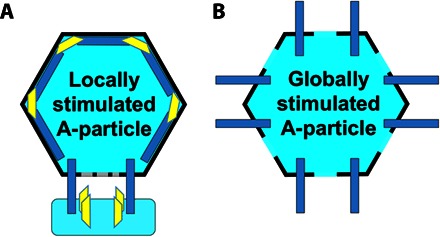 Fig. 7