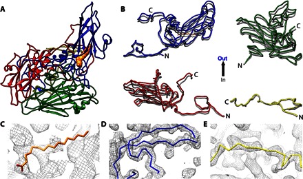 Fig. 3