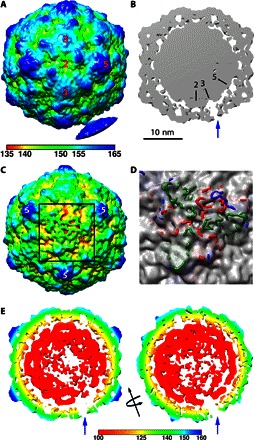 Fig. 4