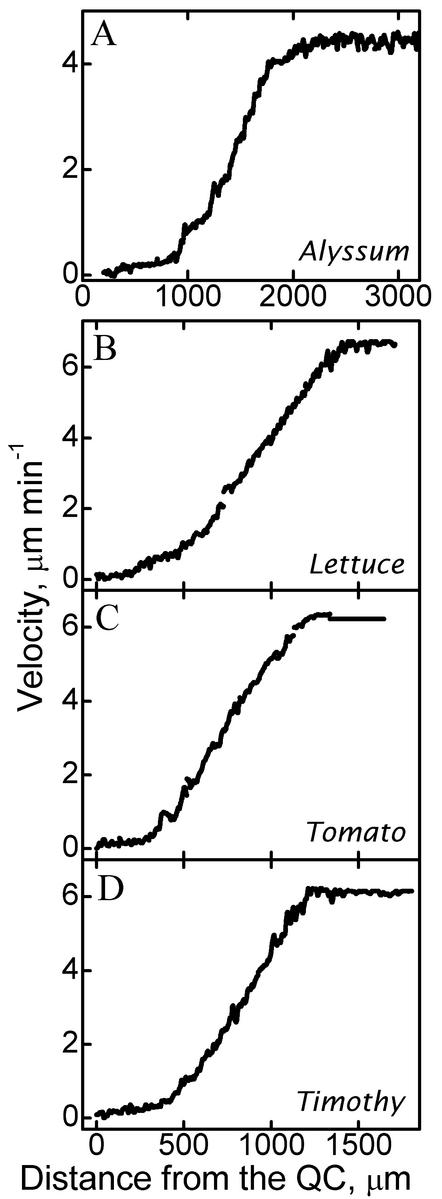 Figure 7.