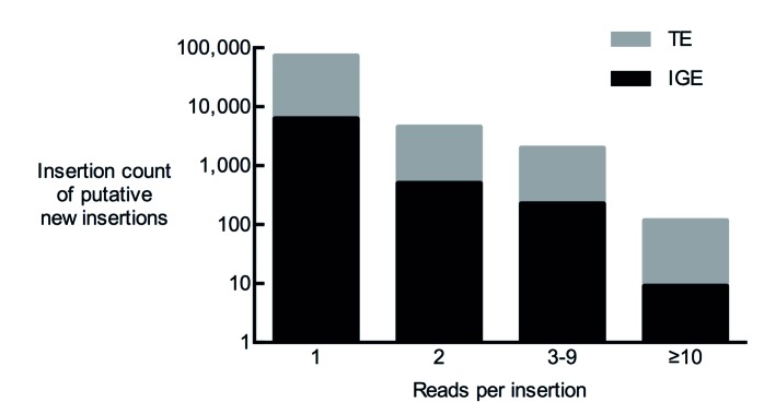 Figure 2—figure supplement 1.