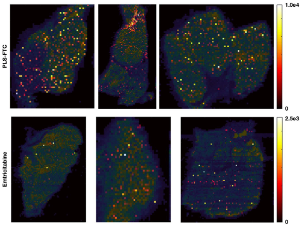 Figure 13.