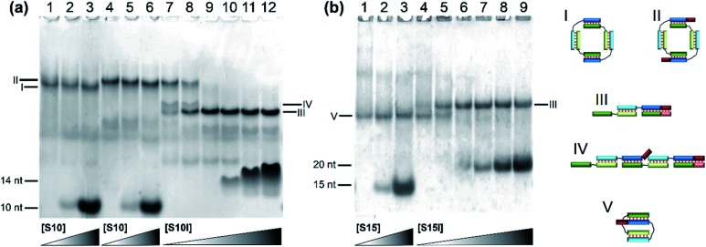 Fig. 5