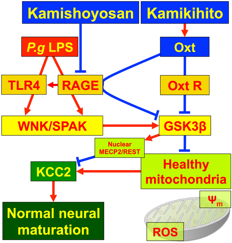 Fig. 12