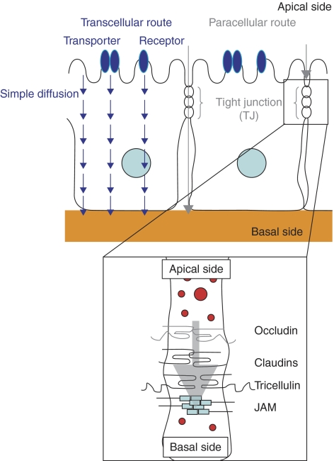 Figure 2.