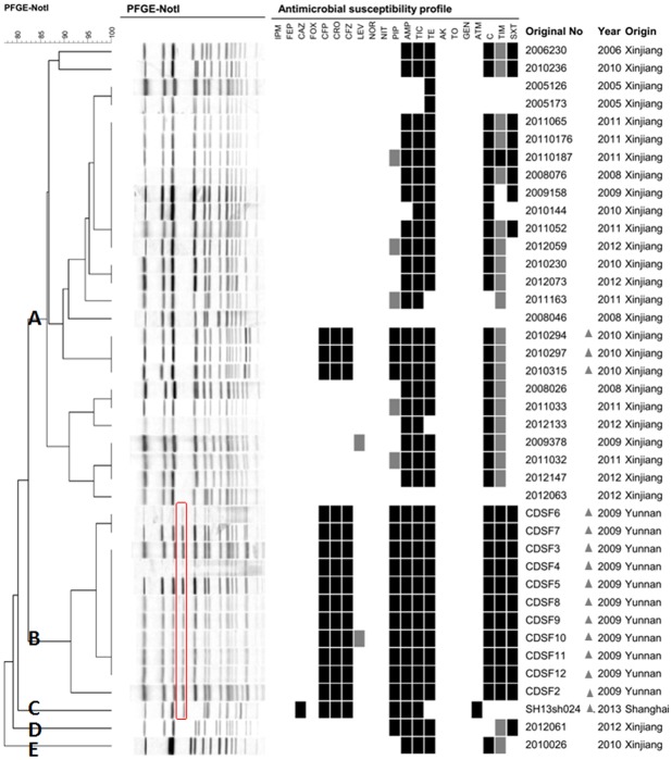 Fig 1