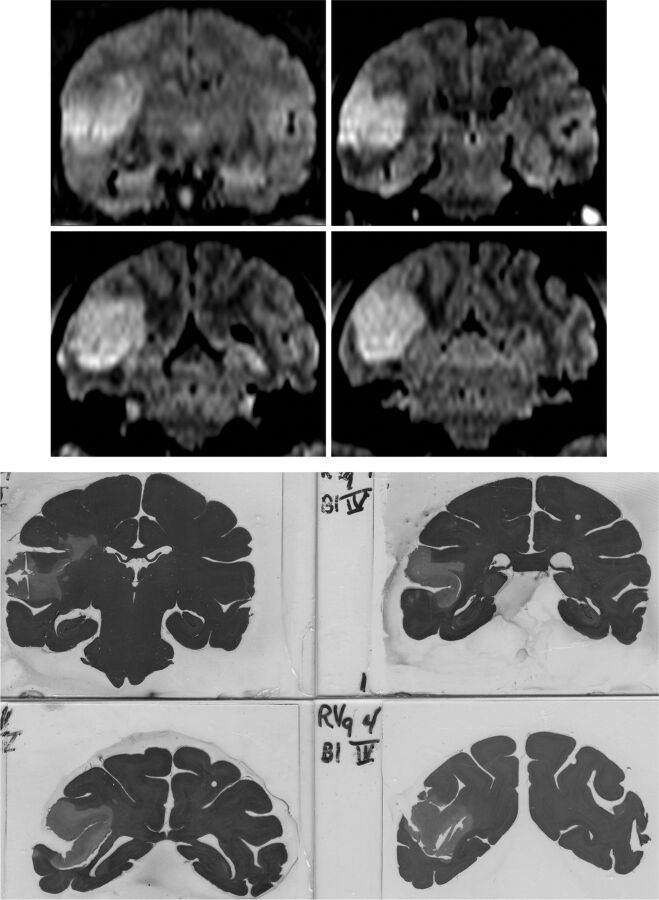 Fig 2.