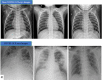 Fig. 8