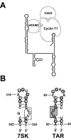 FIG. 8.