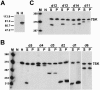 FIG. 2.