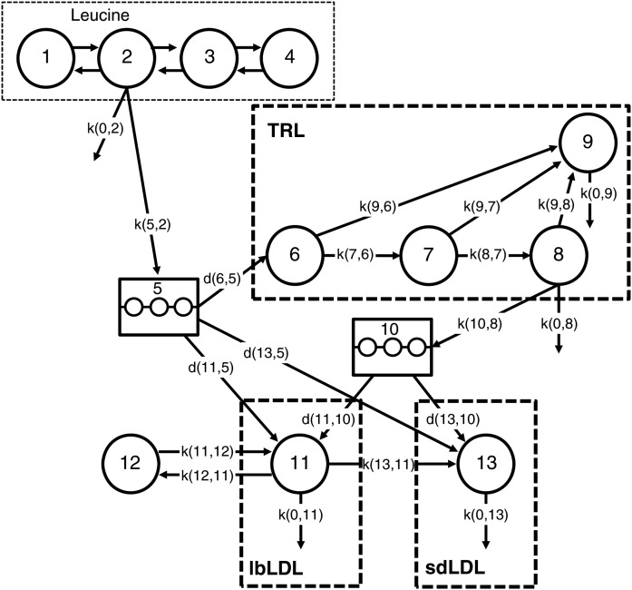 Fig. 1.