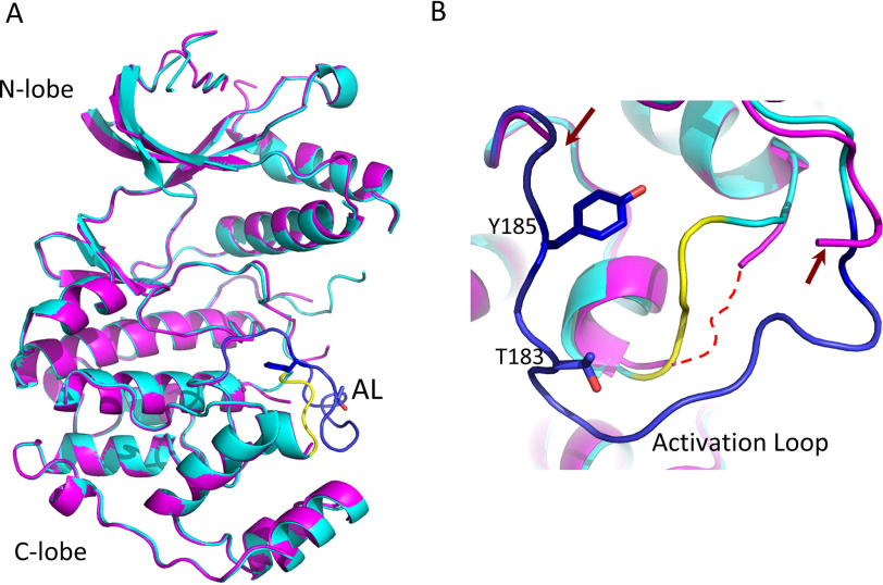 Figure 5.