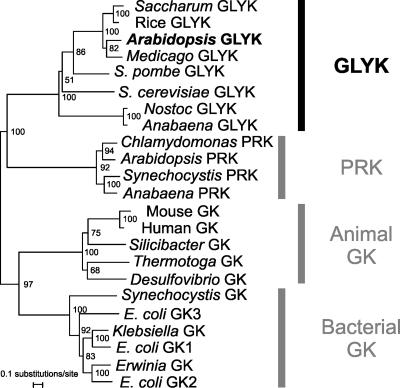 Figure 7.