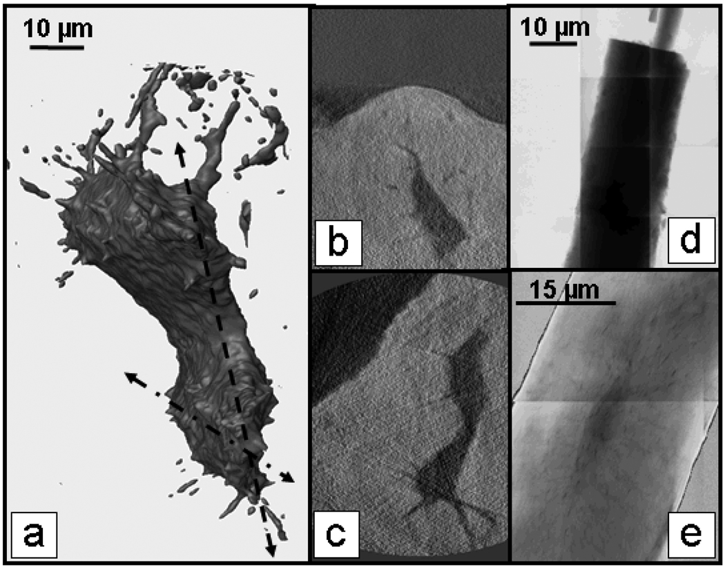 FIGURE 2