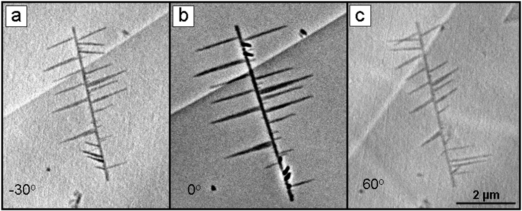 FIGURE 3