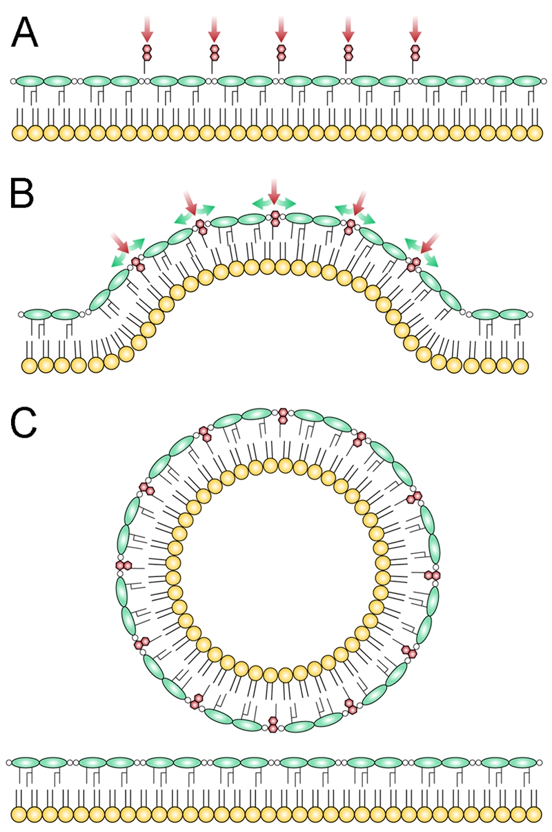 FIG 5 