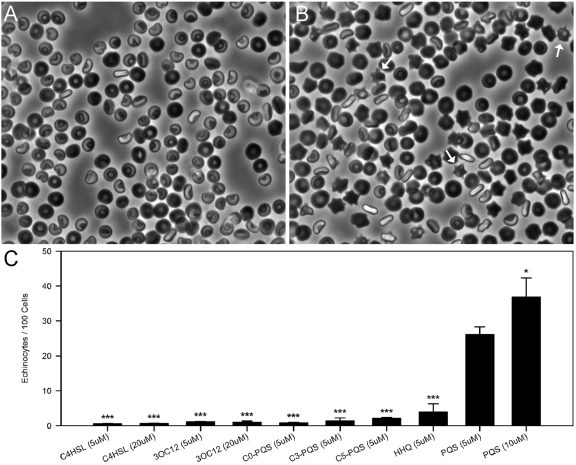 FIG 3 