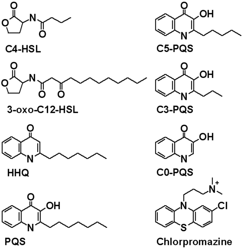 FIG 1 