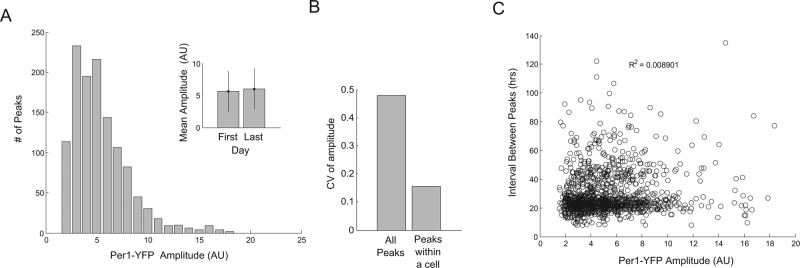 FIGURE 4: