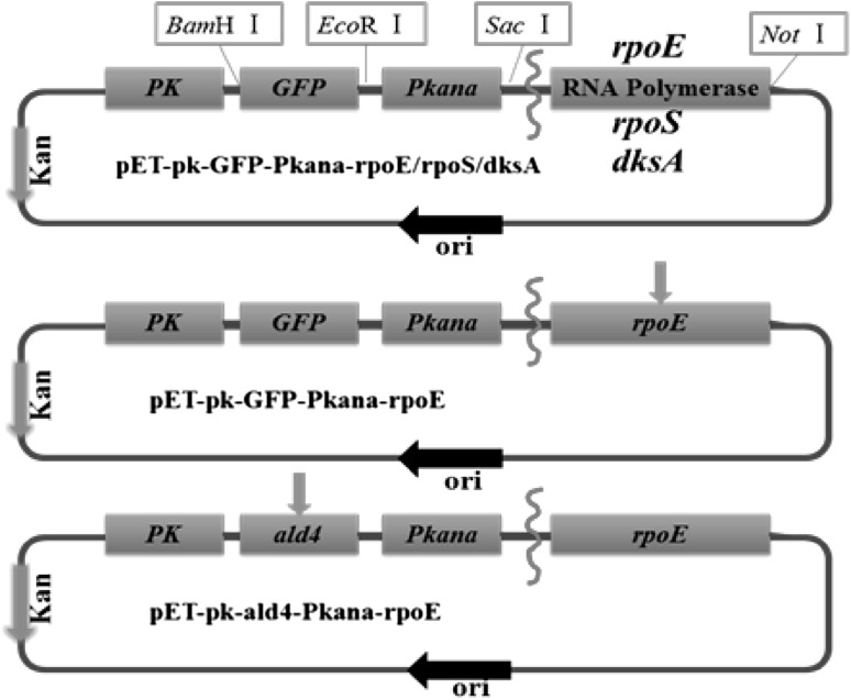 Fig. 1