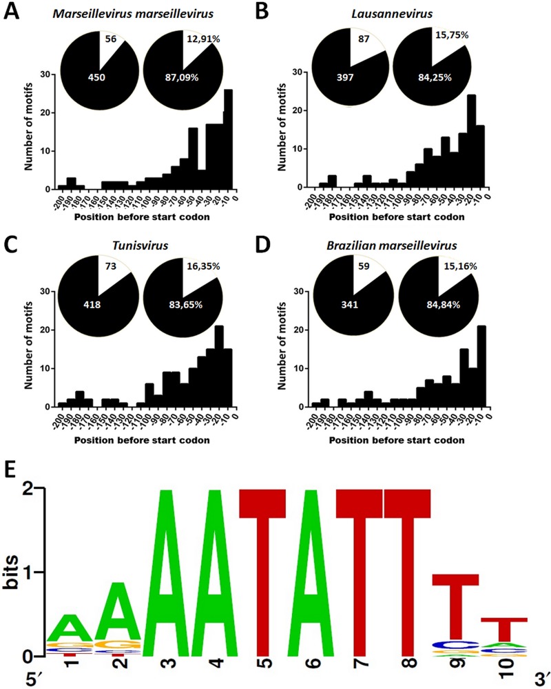 FIG 1