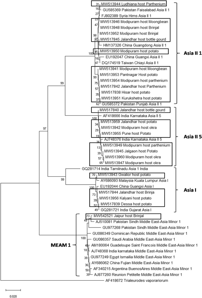 Fig. 1