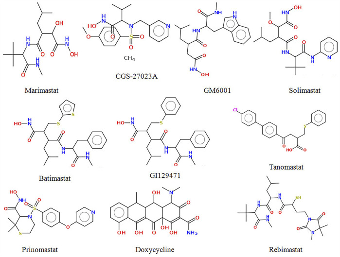 FIGURE 1