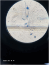Fig 5